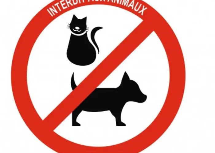 German Chic The Imperial Balcony Apartmán